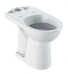 GEBERIT Selnova Comfort poda apakša 90° paaugstināts modelis, sēdvietas augstums 46cm 500.284.01.1 