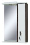 SANSERVIS SIRIUS-60 spogulis ar plauktu 63x87x17 48750 