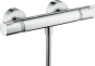 HANSGROHE ECOSTAT COMFORT dušas  termostats HG13116000 